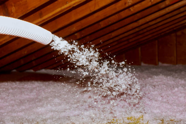 Best Insulation Contractor Near Me  in Robbins, IL