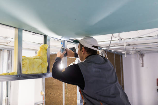 Best Affordable Insulation Services  in Robbins, IL