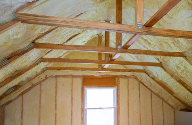 Best Insulation Contractors for Homes  in Robbins, IL