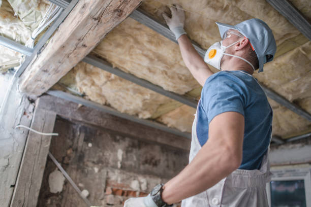 Best Insulation Inspection Services  in Robbins, IL