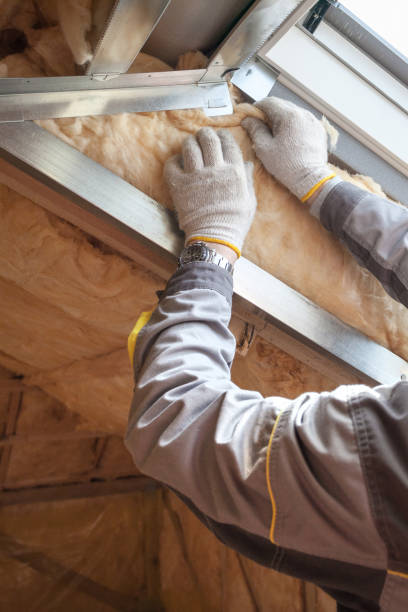 Best Fiberglass Insulation  in Robbins, IL