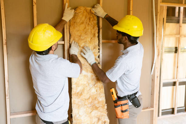 Best Attic Insulation Installation  in Robbins, IL