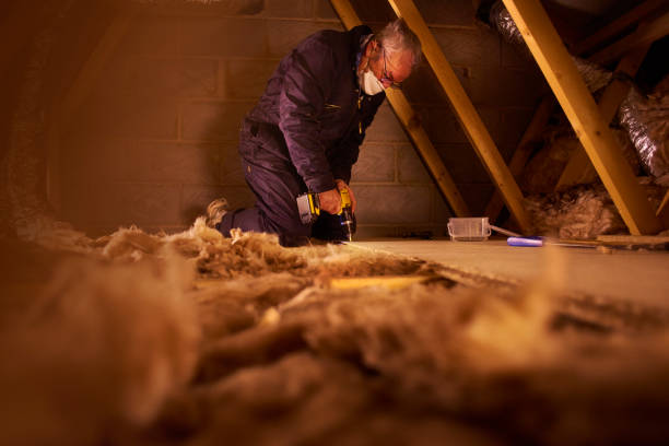 Best Residential Insulation Services  in Robbins, IL